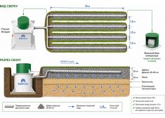 Нителла 3